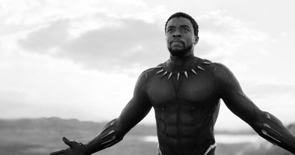 Black Panther and the Loss of a&nbsp;Hero